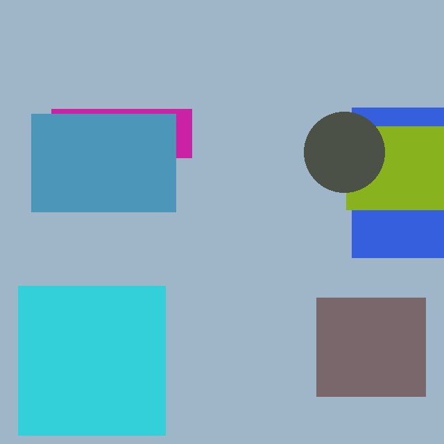 Essential Widget PP-8050